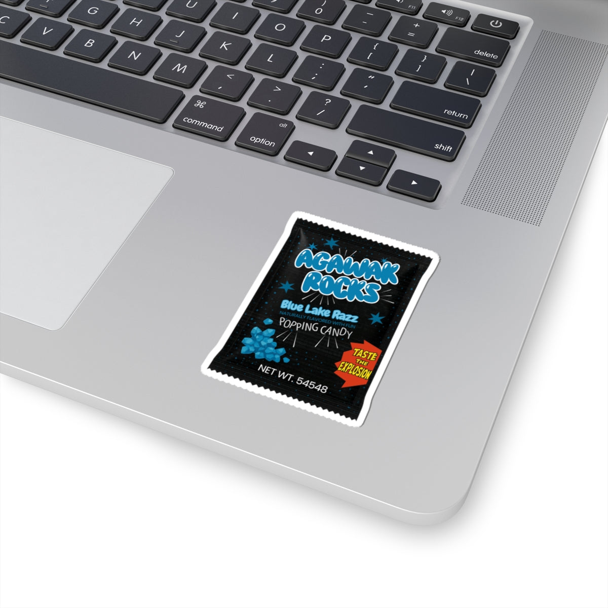 Camp Rocks (Vinyl Sticker)
